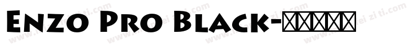 Enzo Pro Black字体转换